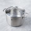 1194 ZWILLING Flow Open Stock Stew 3 6L Pot  Brushed St St