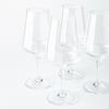 KSP Acrylic Wine Glass (580 ml)