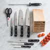 77876 ZWILLING TWIN Gourmet 10 Pc Natural Wood Knife Block Set