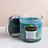 Empire Tuscany 'Water Garden' 3-Wick Glass Jar Candle