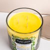 Empire Tuscany 'Wild Honeysuckle' 3-Wick Glass Jar Candle