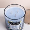 99014_Empire_Tuscany_'Vanilla_Sea_Salt'_3_Wick_Glass_Jar_Candle
