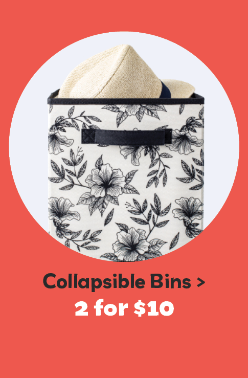various collapsible storage bins- 2 for $10