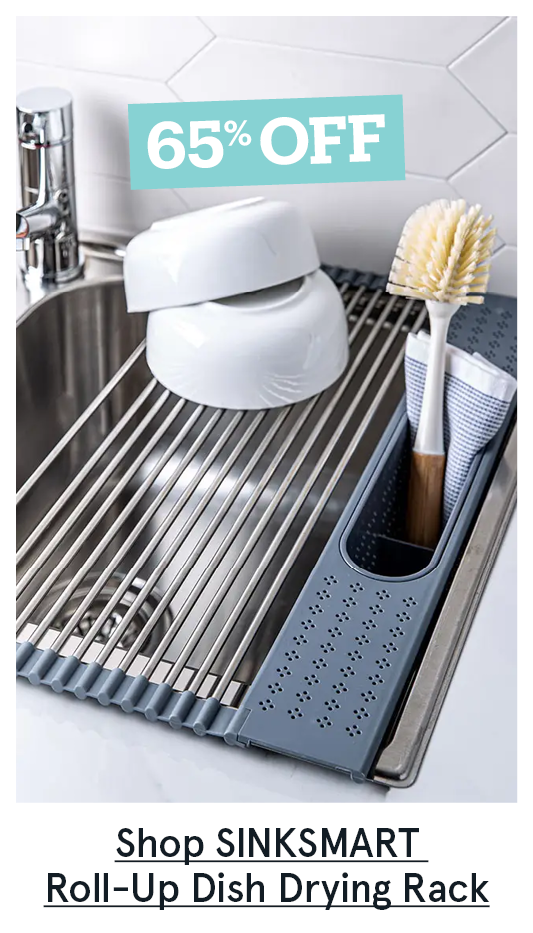 Shop Sinksmart Roll-Up Dish Drying Rack